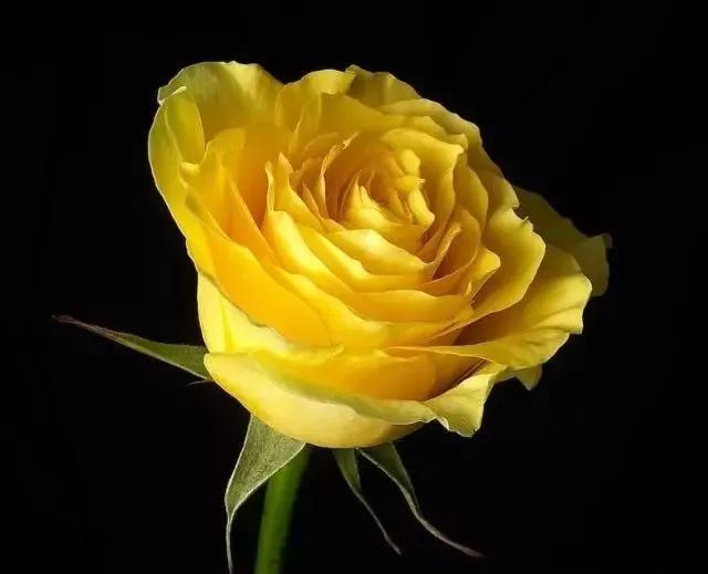 每天学习一点点女性小常识,每天学习一点点科普一下