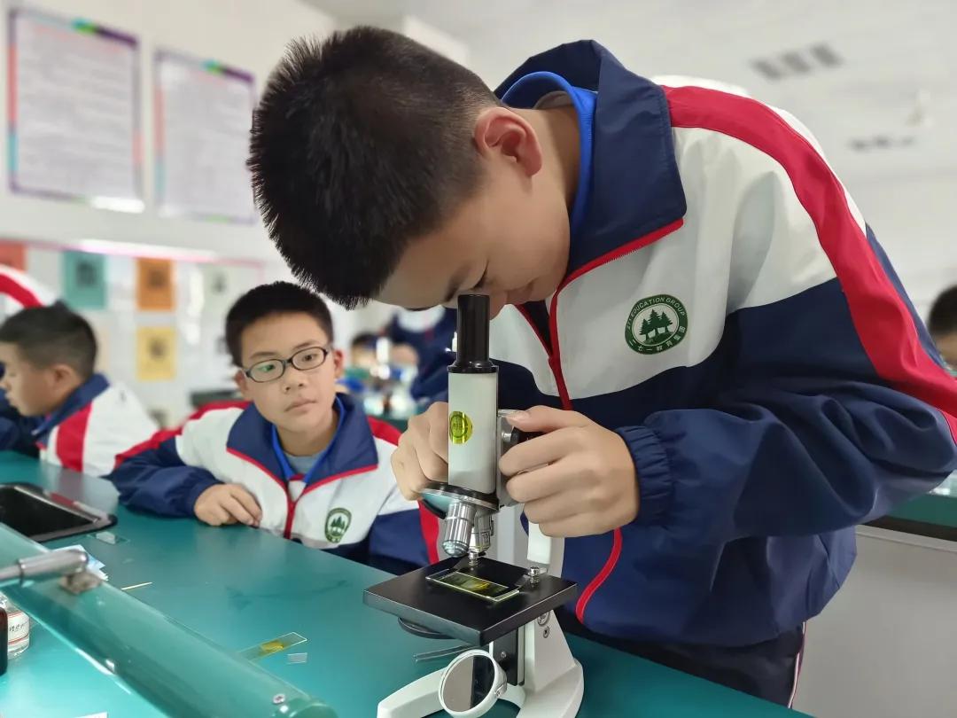 271教育适合什么样的孩子,271教育理念