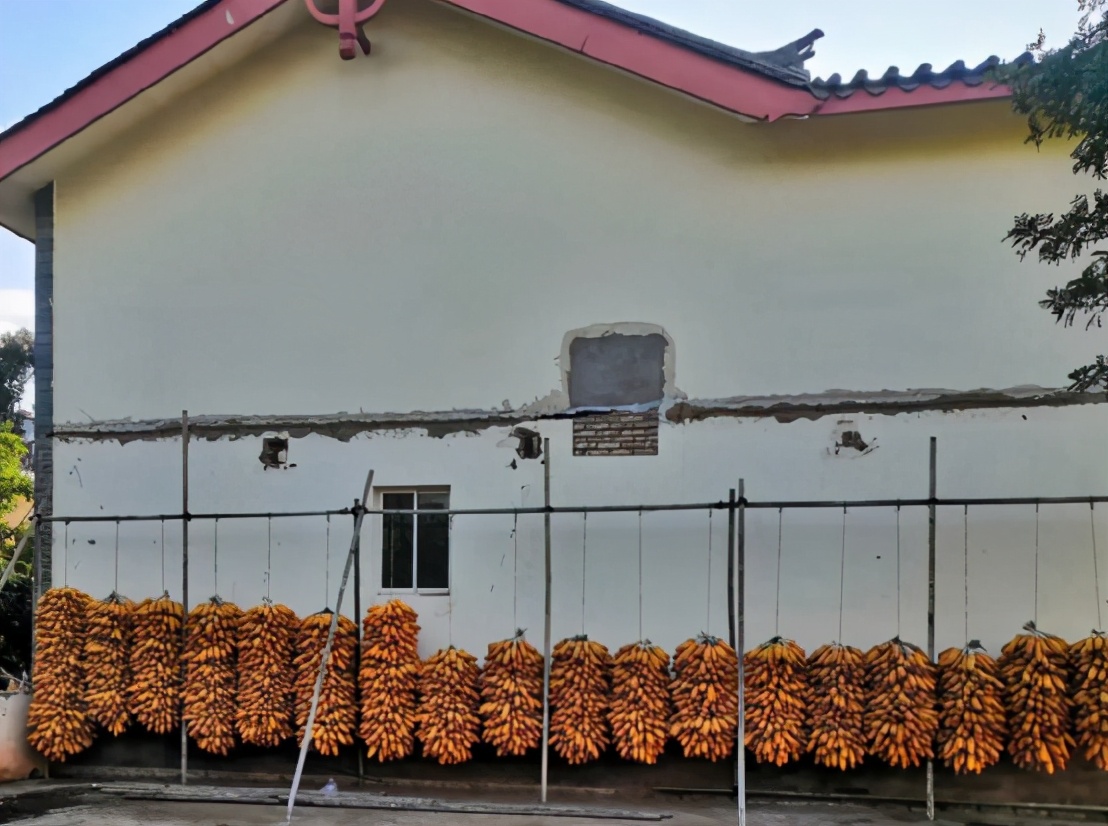 探访石林彝族第一村五棵树村,石林彝族第一村攻略