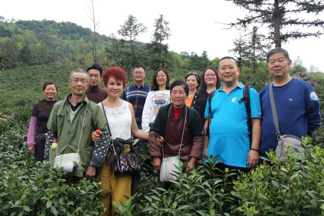 楂樺北鑼跺彾鍔╁姏鑴辫传瑙嗛,楂樺北鑼跺彾鍔╁姏鑴辫传