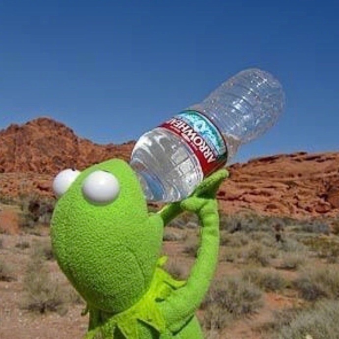 一起来和Kermit潮蛙学习游客照的正确拍摄方式！