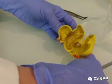 蠢萌蠢萌的洗澡鸭，差点让我儿子失去了一只眼