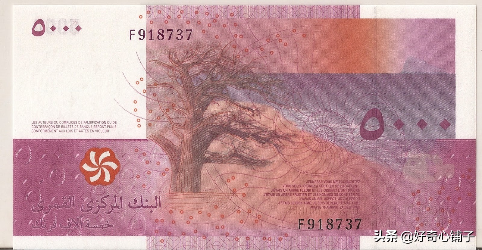 全球值得收藏的纸币,世界各国前五大超有趣纸币