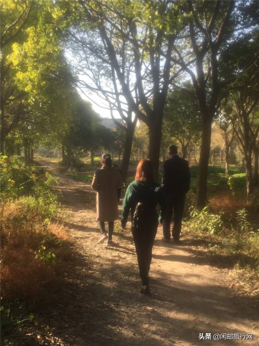 同仁健康筑梦远航2019.11.11海洋光谱号狂欢之旅