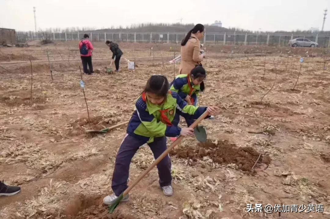 植树节播撒梦想厚植希望,植树节拥抱春天播种绿色放飞希望
