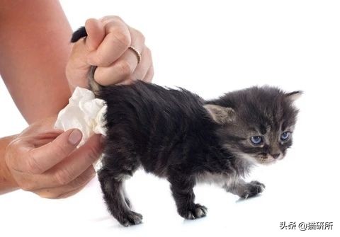 腹泻十几次最快的治疗方法,腹泻有五年应该怎样治疗