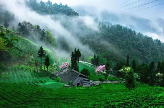 2022骞存仼鏂藉晢涓氶瓍鍔涙帓琛屾,榄呭姏鎵撳崱涔嬪煄鎭╂柦