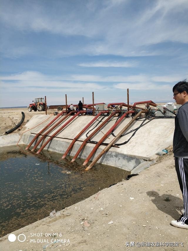 滴灌带堵塞怎么消除,滴灌带堵塞用什么过滤器好