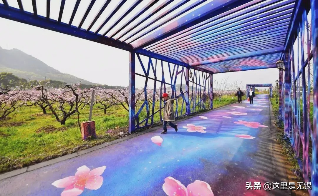 无锡网红打卡地太湖明珠大堤,无锡网红打卡地江尖公园