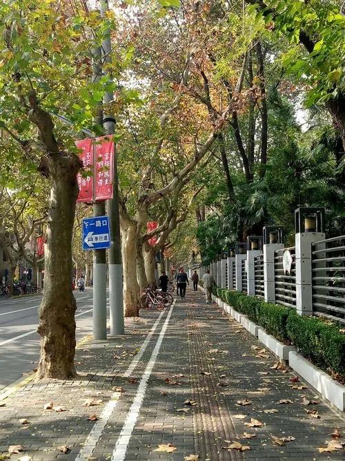 不出沪门之玩转魔都,不出沪上海周边旅游