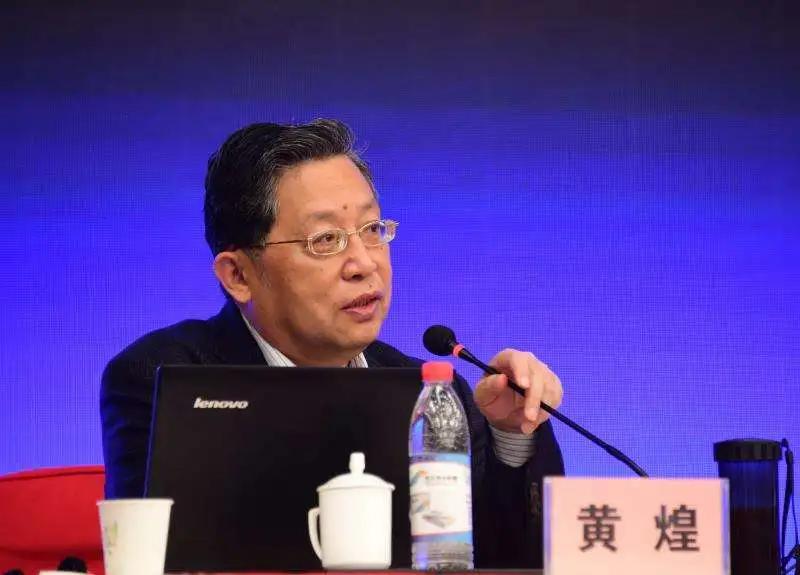 中医药大学教授黄煌,黄煌国医大师