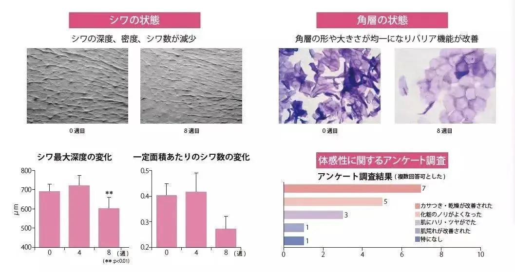 瀛姿堂,姿美堂胶原蛋白肽酵素