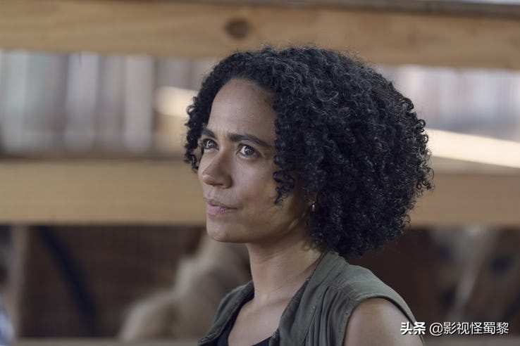 行尸走肉第9季解说结局合集,行尸走肉第9季最后死的十个人