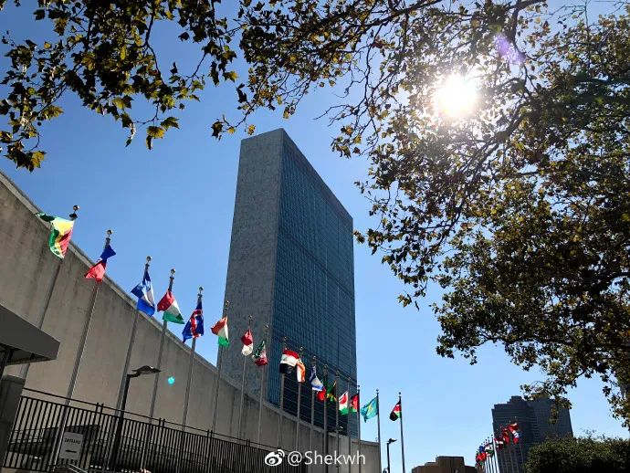 澳大利亚疫情下的中国人,泰国疫情最新真实状况今天