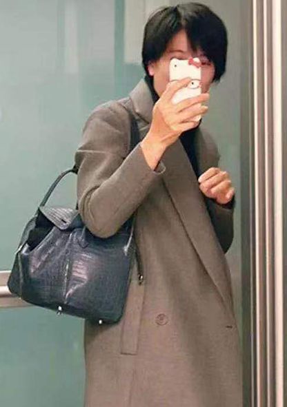 袁咏仪的包包张智霖,袁咏仪和张智霖包包