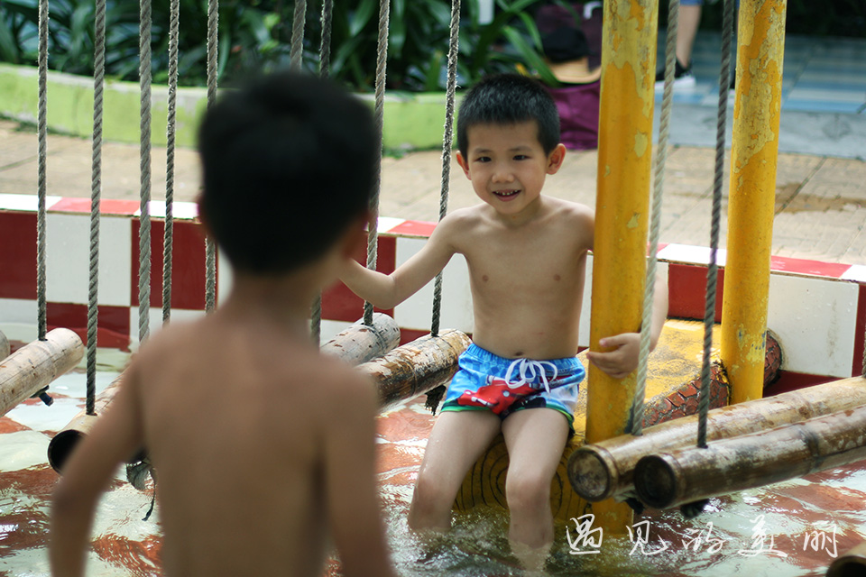 百万葵园有多坑,百万葵园免门票