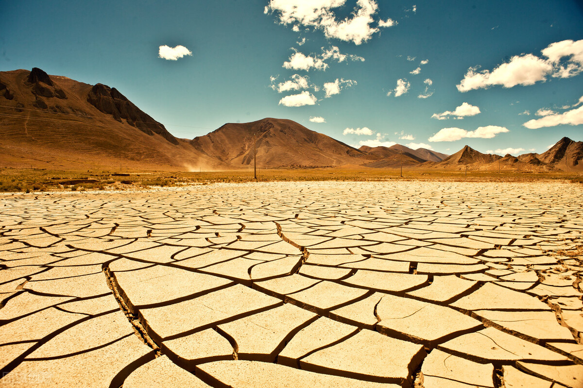 面部保养美容知识,有关面部保养的知识