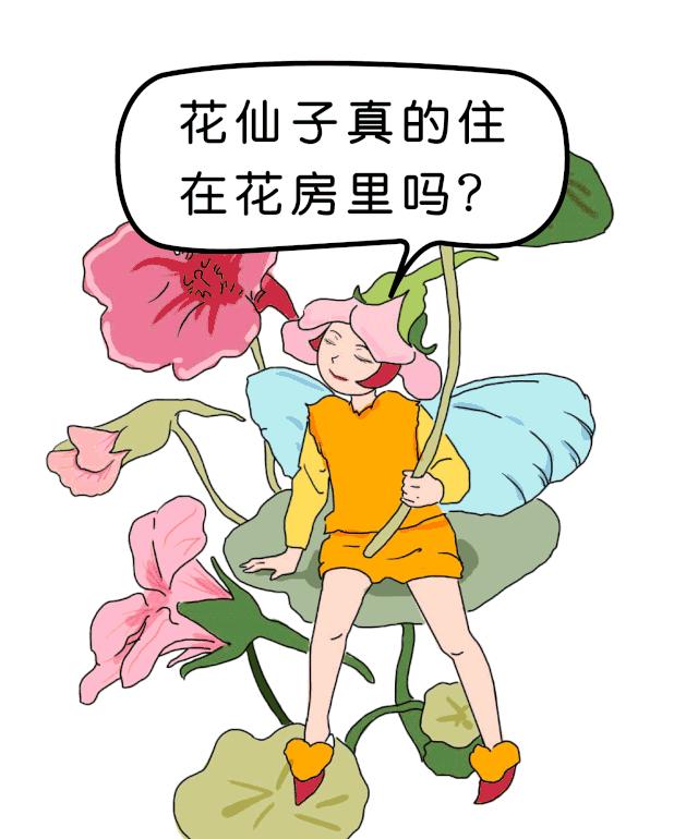 「恋·家」90后花艺师的森系生活，在洞穴里建花房