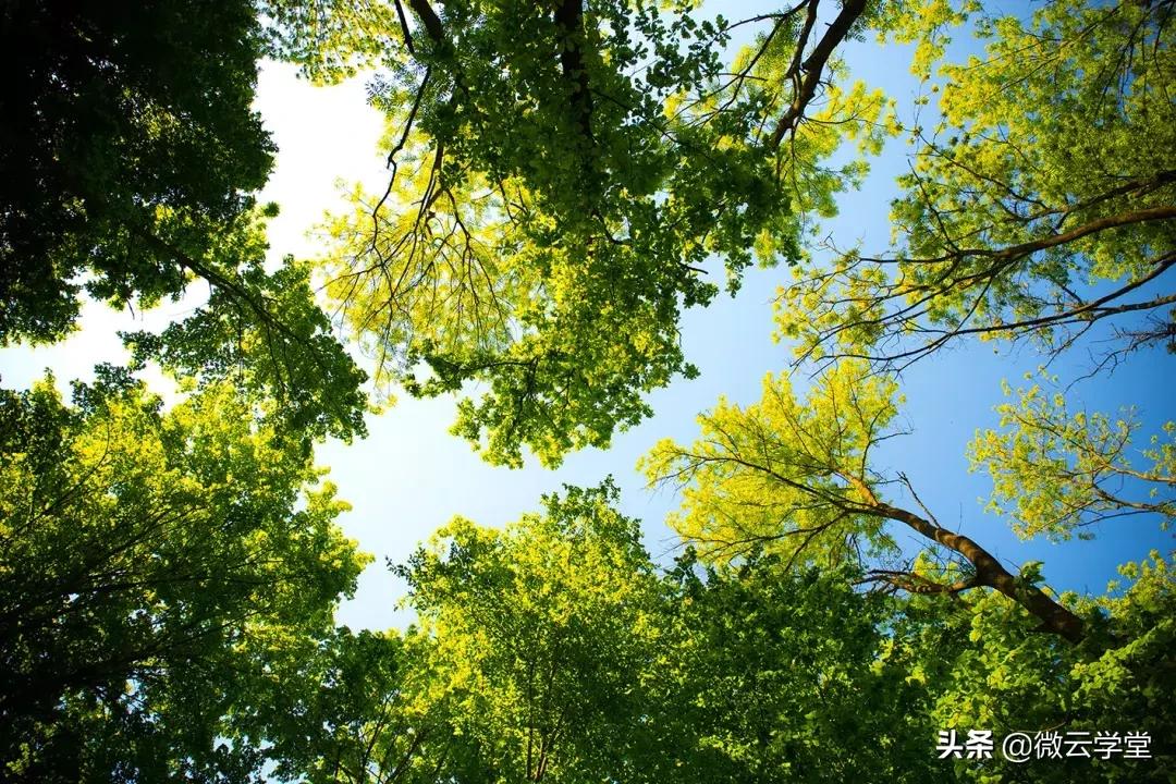 422世界地球日宣传信息,422地球日图片大全