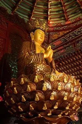 上海最低调的富豪家族,上海的隐藏富豪住在哪里