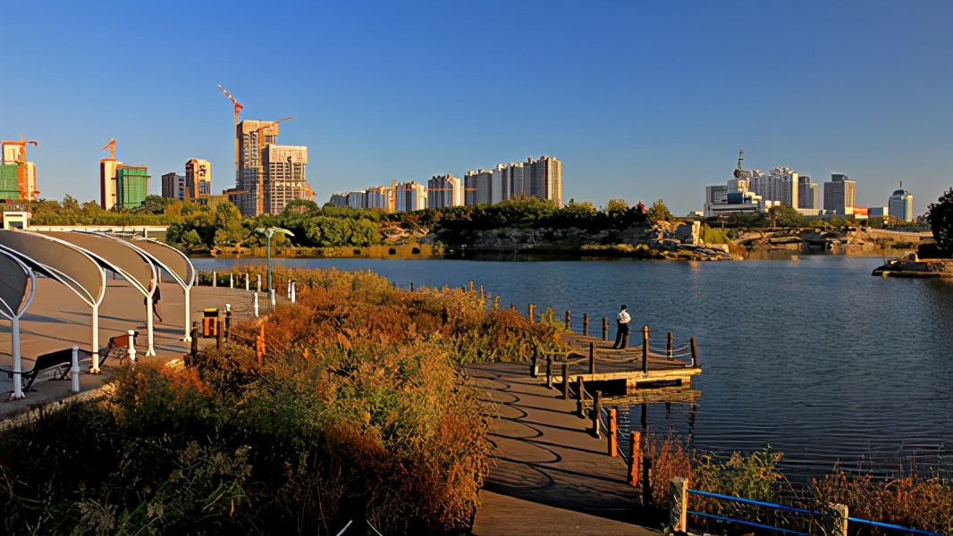 泸州旅游推荐景点大全最新,合肥旅游免费景区推荐