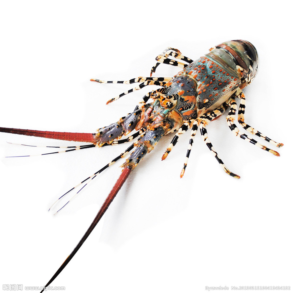 买海鲜时要避开的4种“套路”,你不知道的买海鲜知识