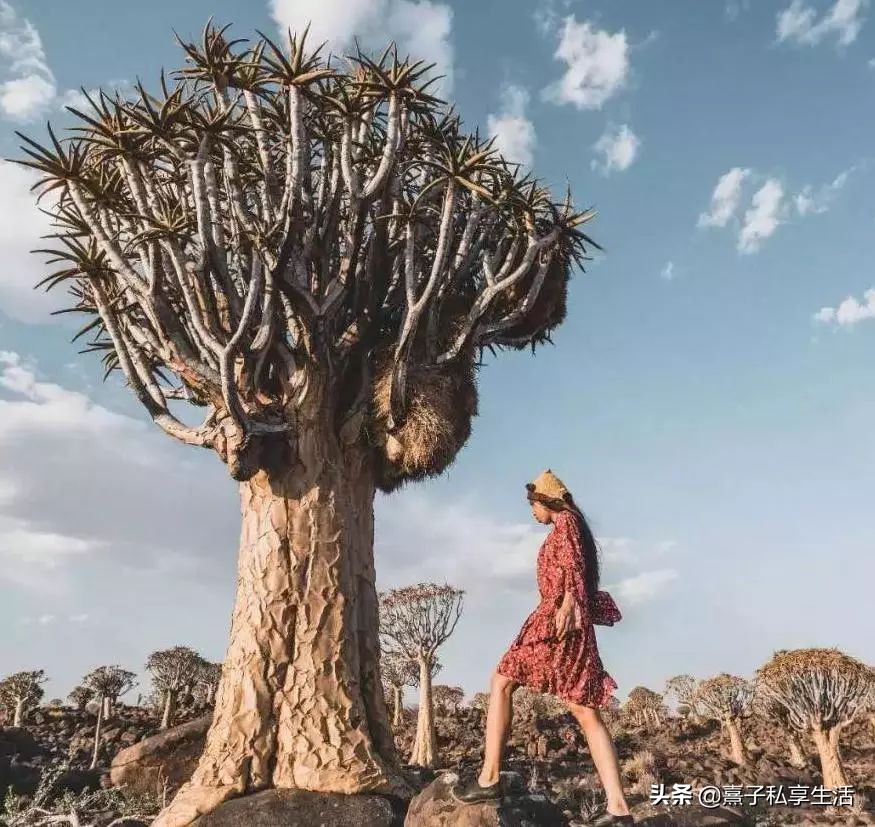 环游世界夫妻赚了十个亿,情侣环游世界视频