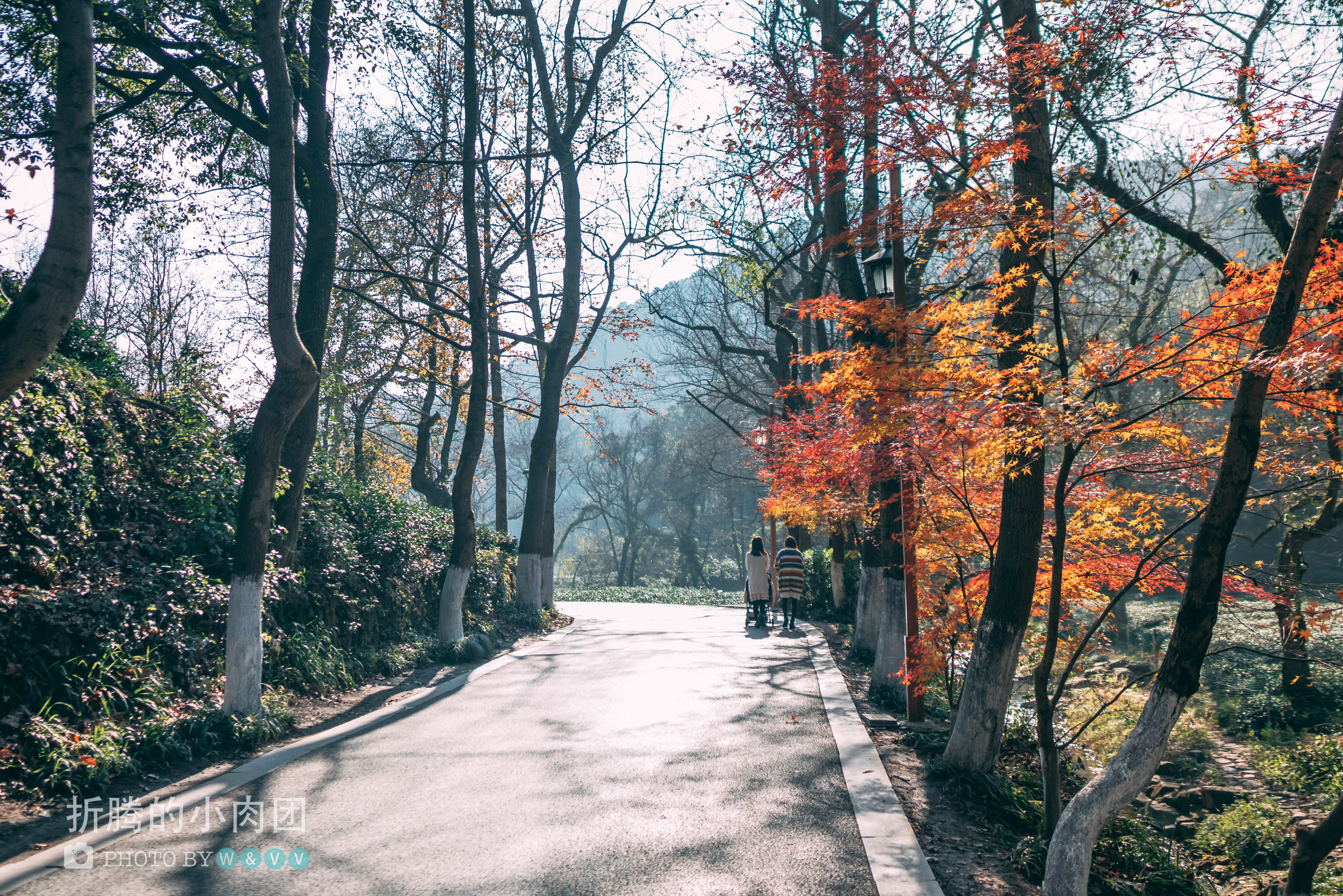 深度游玩杭州西湖,众人皆爱江南韵唯我独赏十二钗