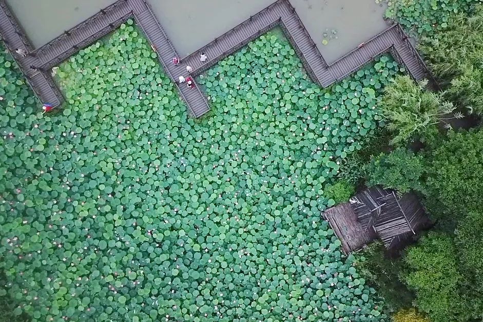 上海避暑周边一日游推荐,上海一日度假地方推荐