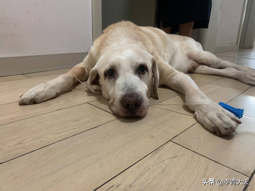 麦扣的家庭,麦扣的质感好物