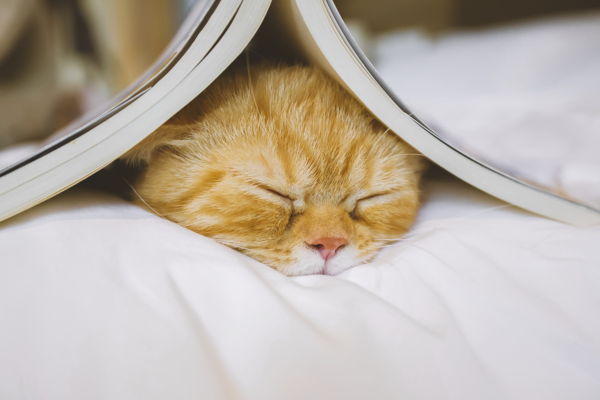 35页常用会计分录大全好记又实用,会计的194个分录