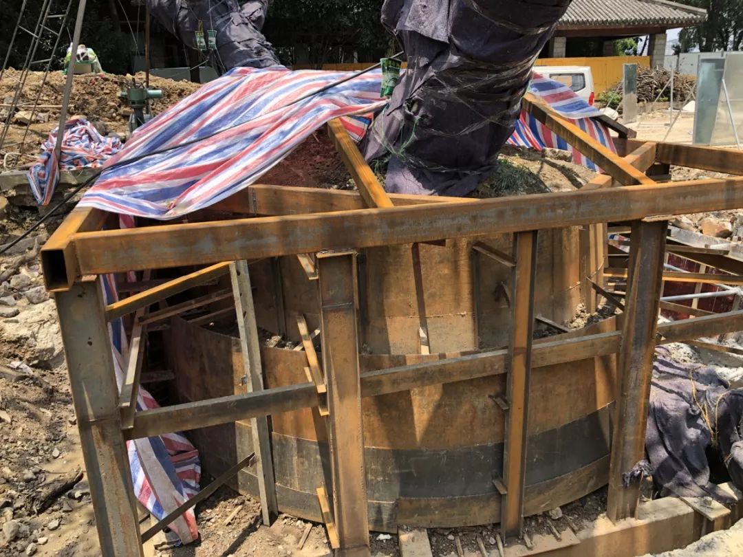 温州望江路上那棵125岁大榕树今天“搬家”!只因…