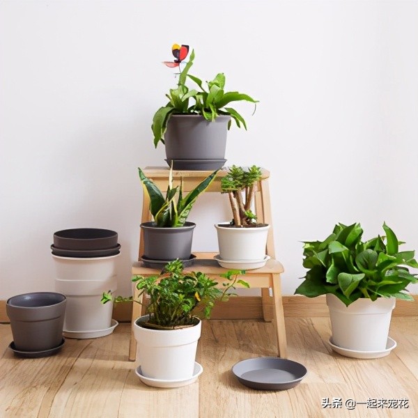 阳台花盆漏土怎么办,阳台花盆比较多怎么整理