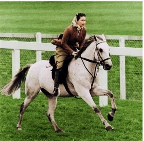 现在英国唐顿庄园的真实主人,唐顿庄园的夫人伊丽莎白