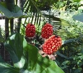 吃下去的东西,吃下去的东西不好消化