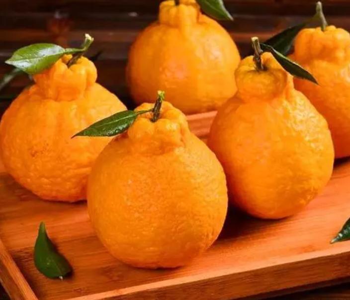 粑粑柑和丑橘不知火是一种水果吗,丑橘和粑粑柑是有什么区别