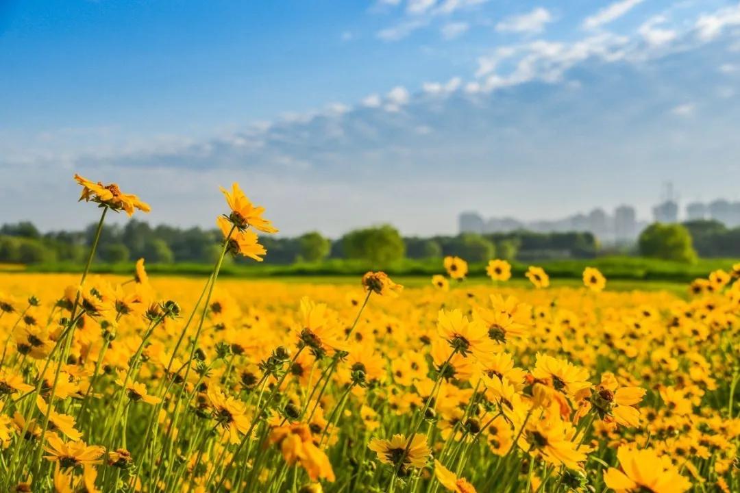 早读天津,今日早读天津