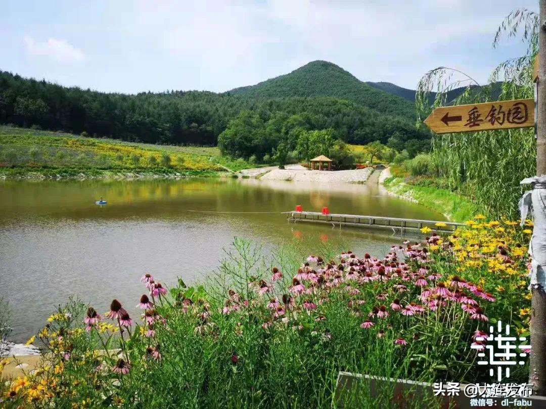 一个极美的露营地,槐之乡露营地