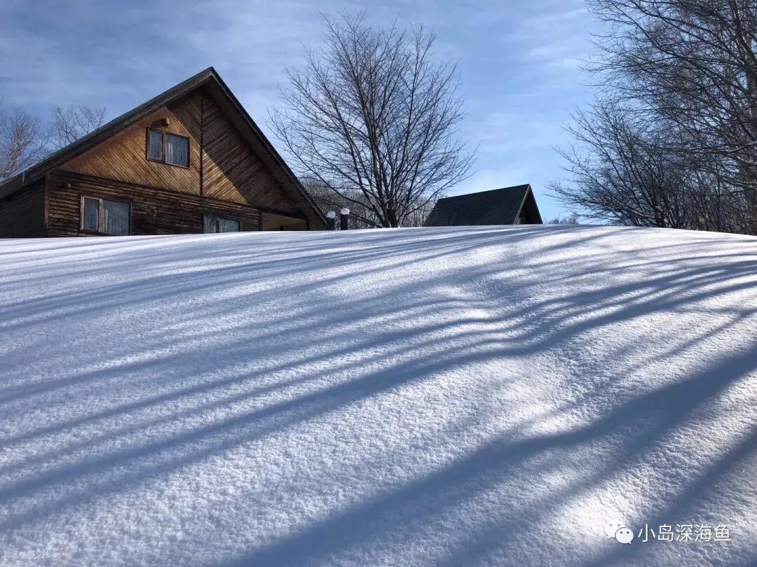 到底存够多少钱就可以退休躺平，在日本年轻人间流行的FIRE