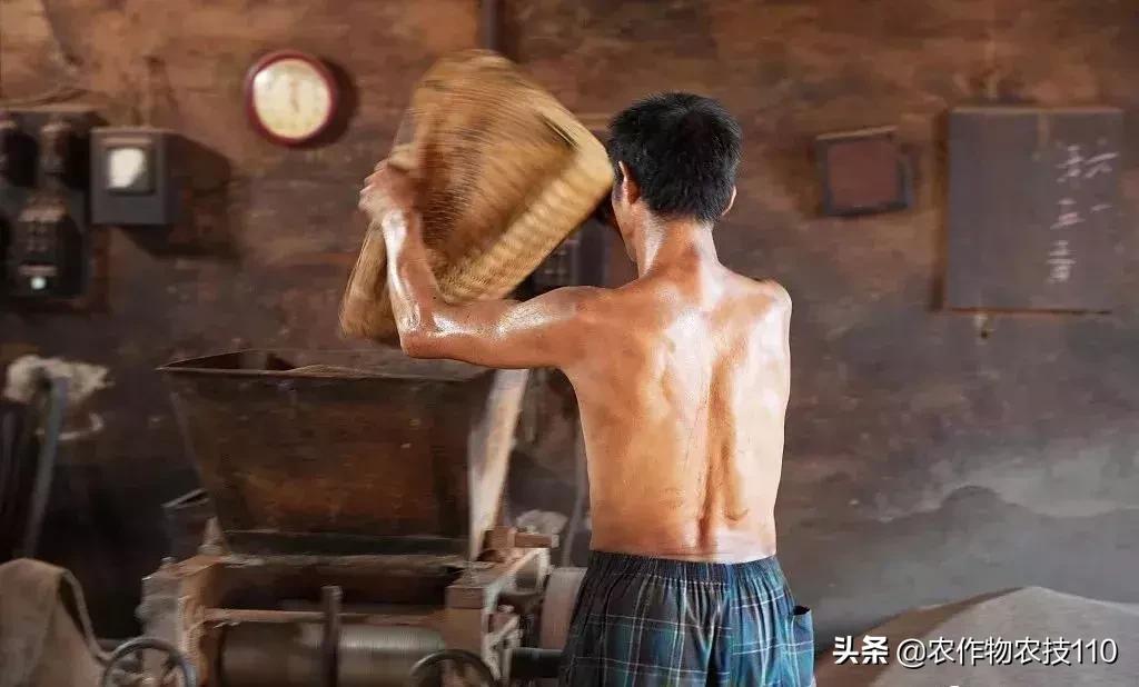 农村无本钱创业22种方法,农村创业100种商机