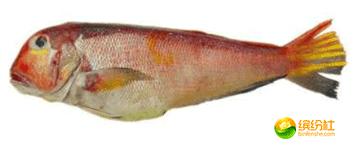 舟山海鲜攻略2天3晚吃什么,舟山海鲜代加工攻略