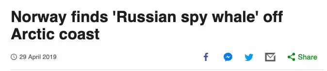 各国秘密间谍行动,各国间谍战有多凶险