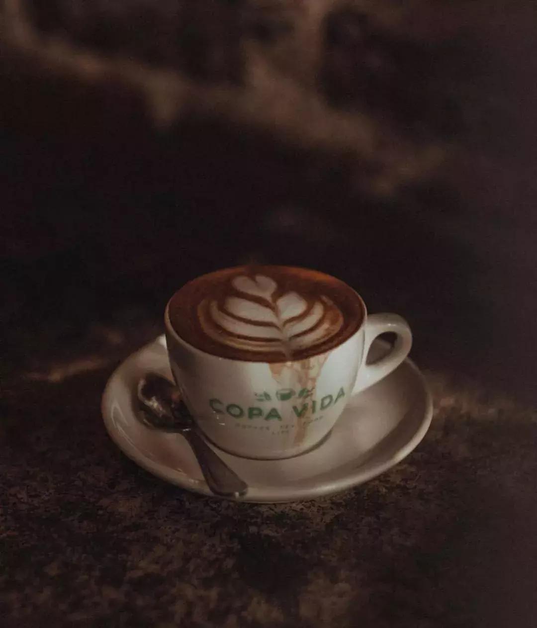 冲泡咖啡的种类和区别,冲泡咖啡的最常用的器具