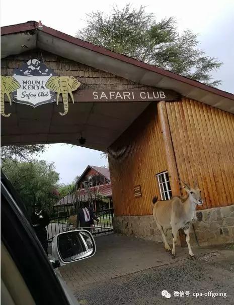 这个野奢的国度,欧美、日韩人都爱去,为何我们国家没人去?