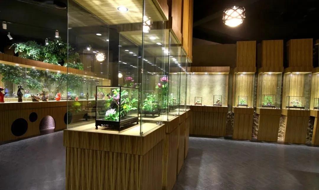 山东文化之旅攻略,山东旅游攻略冬季旅游路线