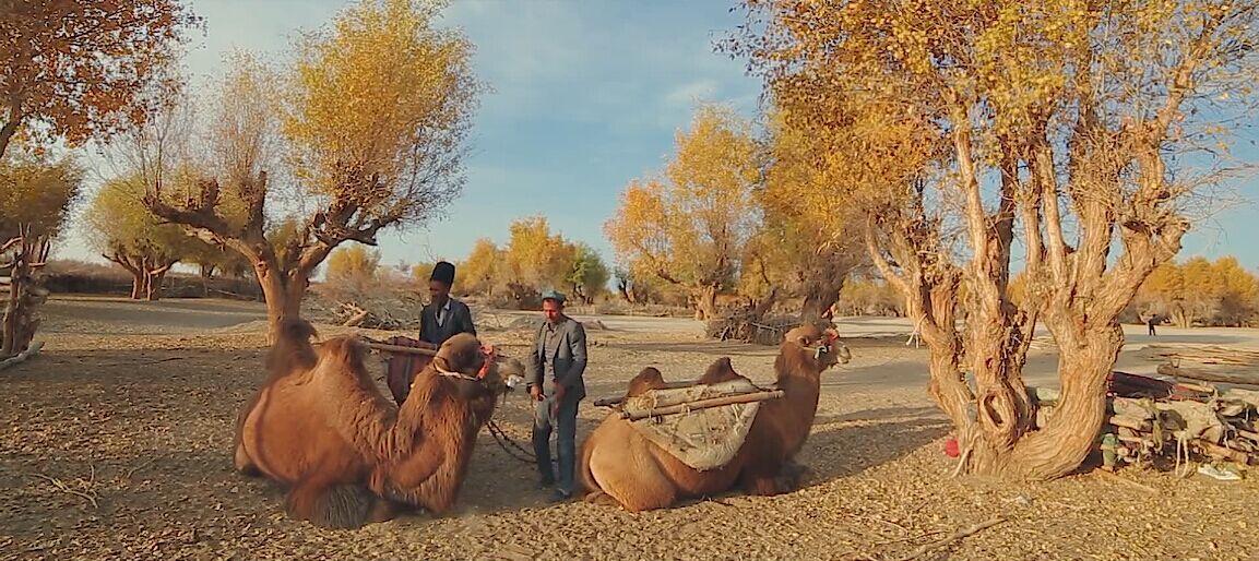 南疆游最佳旅游线路费用,南疆的旅游地点