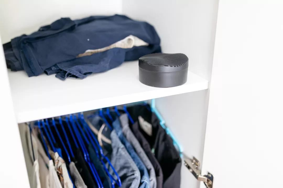 日本除甲醛豆子,日本甲醛清除剂真的有效吗