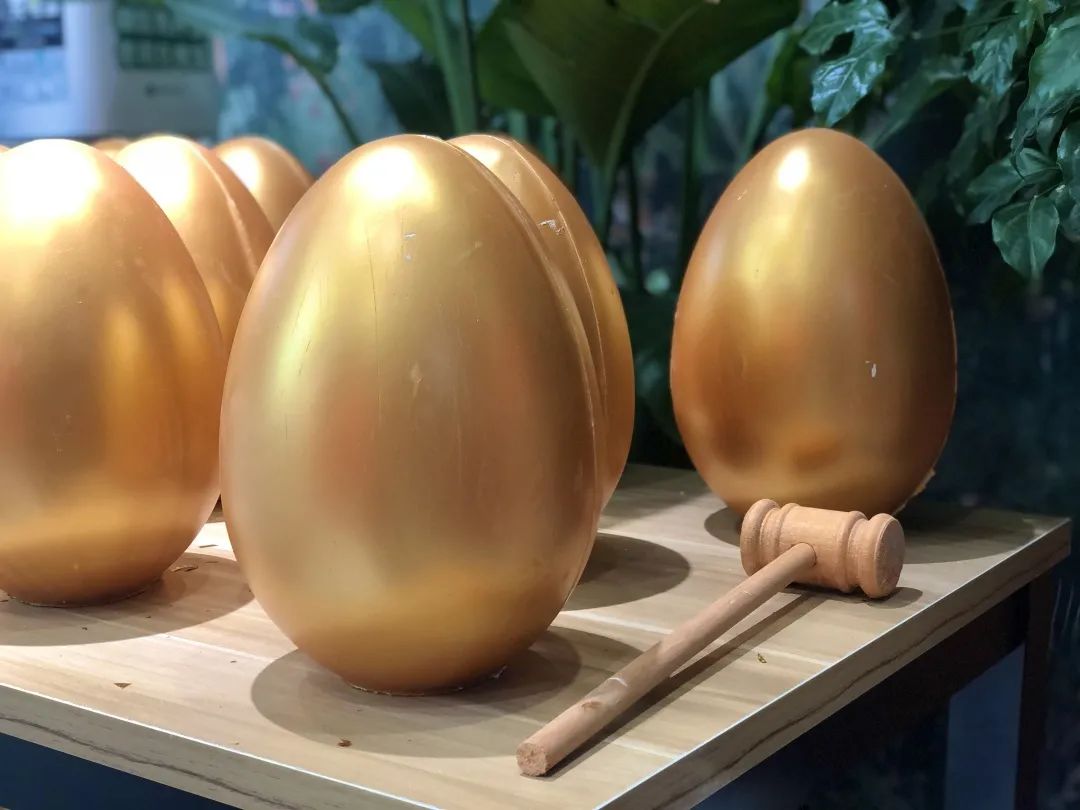 晓室一装重装开业活动现场盛况回顾｜不忘初心，再创辉煌