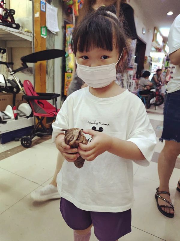 奥特曼卡片是买传奇好还是黑钻好,奥特曼卡片到底该不该给小孩买