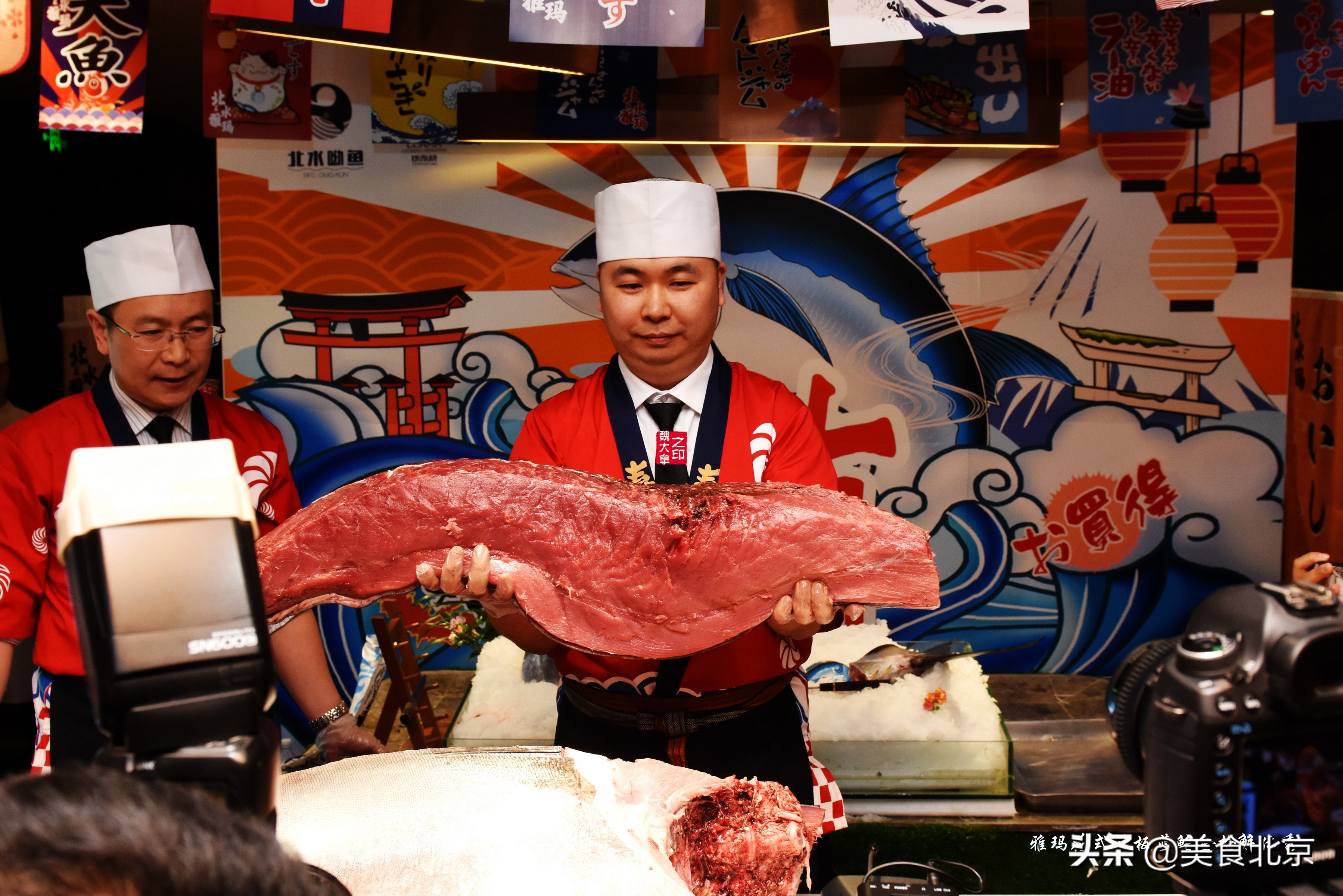 蓝鳍金枪鱼开鱼秀,深海捕蓝鳍金枪鱼